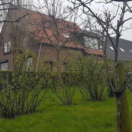 Bed Bij Boertje Pijnacker