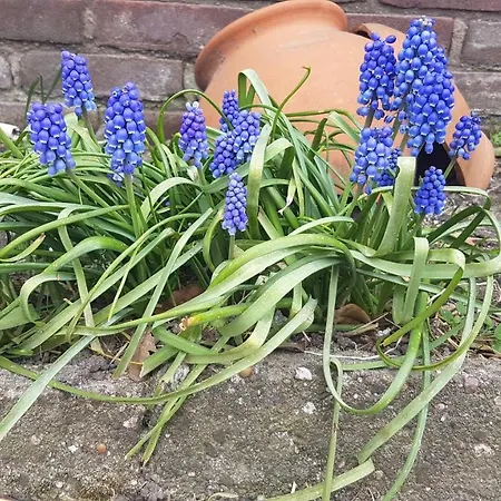 Bed Bij Boertje Penzion
