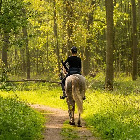 Penzion Bed Bij Boertje Pijnacker