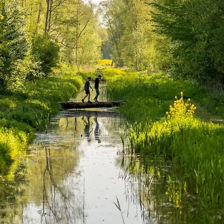 Bed Bij Boertje Pijnacker