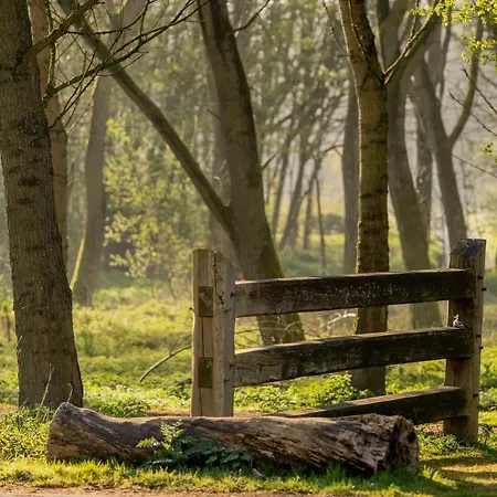 Bed Bij Boertje