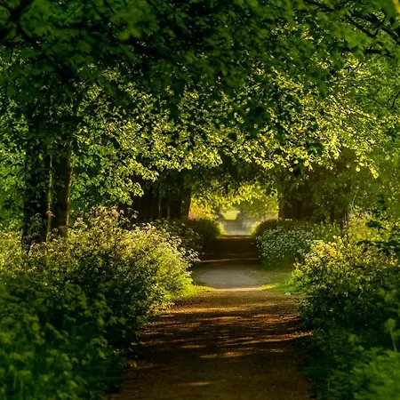 Bed Bij Boertje * Pijnacker