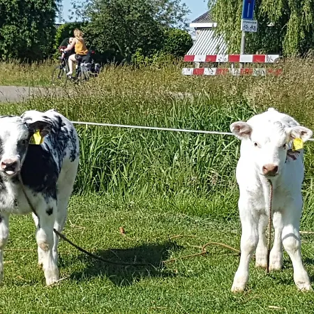Bed Bij Boertje *