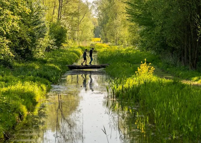 Bed Bij Boertje Pijnacker