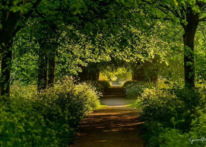 Bed Bij Boertje * Pijnacker