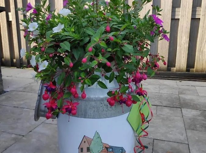 Bed Bij Boertje Hotel Pijnacker