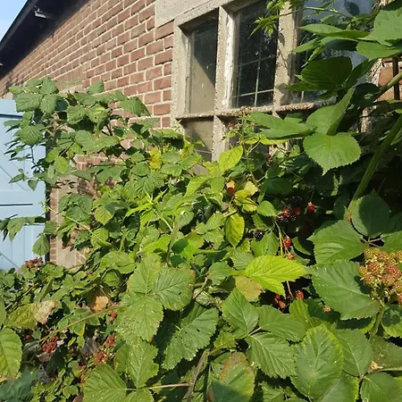 ホテル Bed Bij Boertje Pijnacker