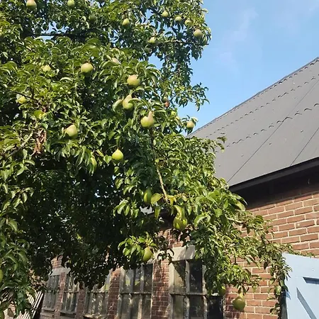 Bed Bij Boertje ホテル *