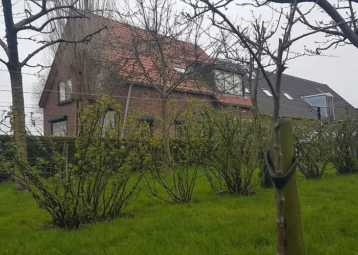 Bed Bij Boertje Pijnacker