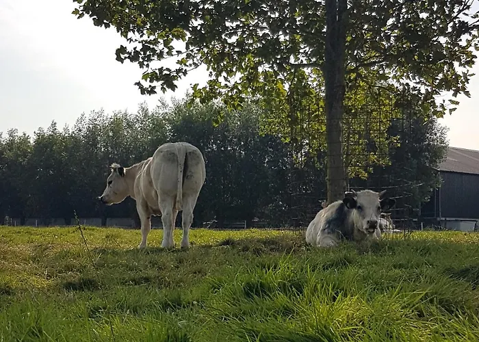 Hotel Bed Bij Boertje Pijnacker
