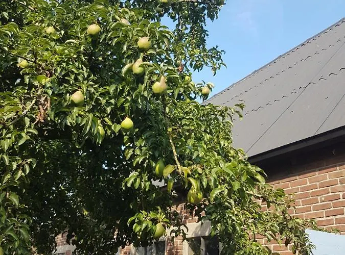 Bed Bij Boertje Hotel *