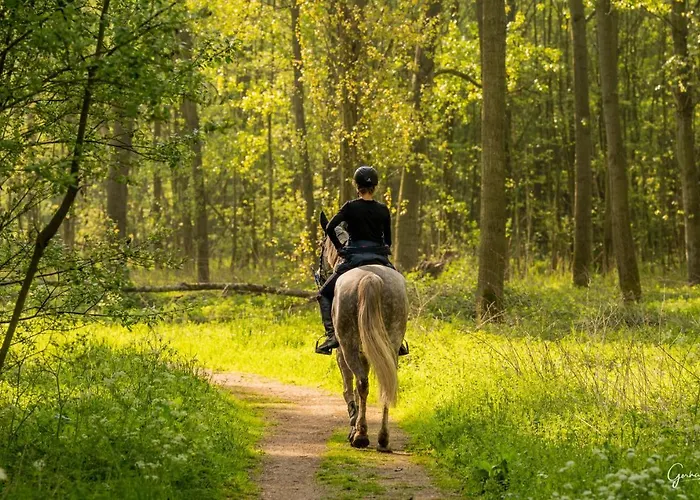Hotel Bed Bij Boertje Pijnacker