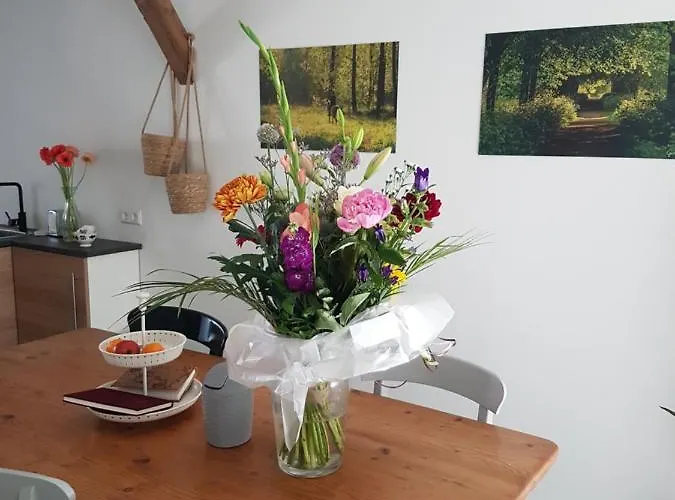 Bed Bij Boertje Hotel